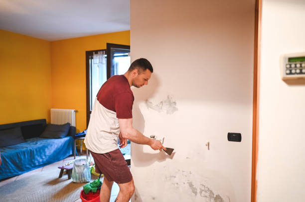 Best Attic Mold Removal  in Preston, MN